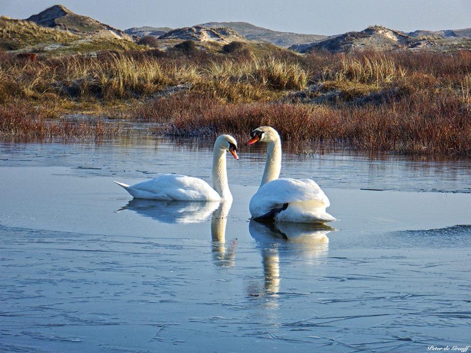 De Blaauboer, Vakantiehuisje Эгмонд-ан-Зее Экстерьер фото